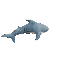 Blåhaj